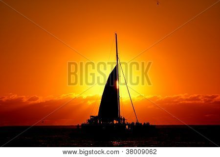 Adventure at Sea