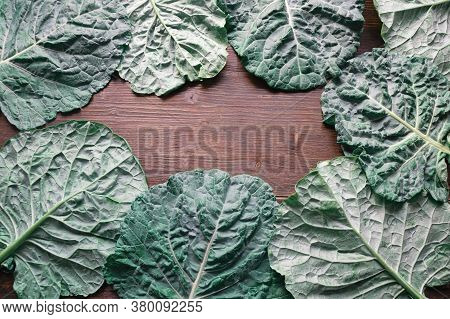 Rastan ( Collard Greens, Collards ) - Popular Leafy Vegetables In Balkan Cuisine. Dark Rustic Backgr