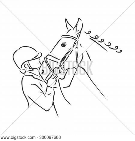 Vector Image Of A Horse Head Design On White Background, Horse Logo. Wild Animals. Vector Illustrati