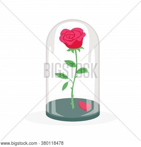 Rose In A Flask Of Glass On The White Background. Vector Illustration.