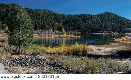 Overview Of The Spooner Lake In The Autumn Highlighting Yellow Vegetation