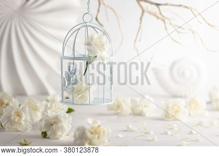 Still life with white flowers in bird cage on light backdrop. Creative concept for celebration of mother day, birthday, wedding or Valentines day