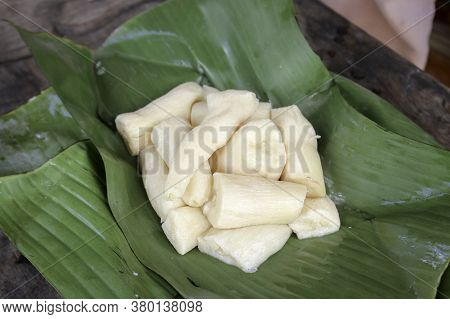 Tapai Or Tape Or Peuyeum Are Traditional Food Snack From Indonesia, Made From Fermented Cassava. Ser