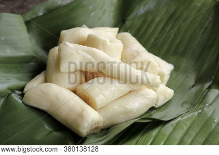 Tapai Or Tape Or Peuyeum Are Traditional Food Snack From Indonesia, Made From Fermented Cassava. Ser