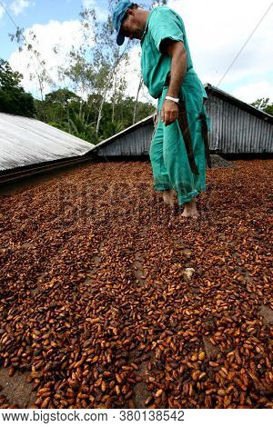 Ilheus, Bahia / Brazil - July 7, 2011: Employee Of A Cocoa Plantation Farm Are Seen On A Barge To Dr