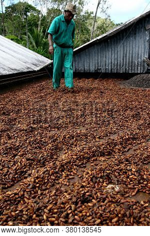 Ilheus, Bahia / Brazil - July 7, 2011: Employee Of A Cocoa Plantation Farm Are Seen On A Barge To Dr