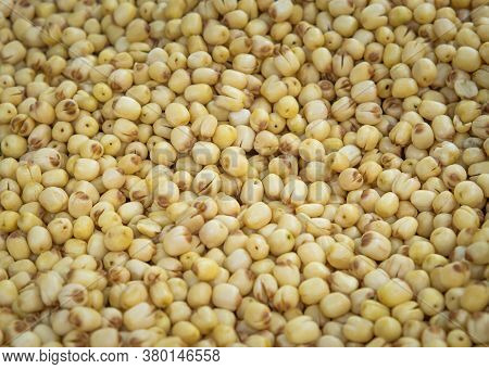 Roasted Lotus Seed Or Fox Nut Background. Food Image With Selective Focus.