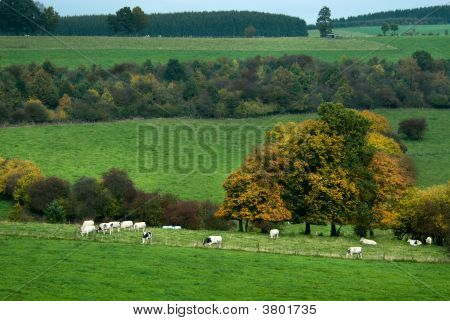 Paisagem de outono Country