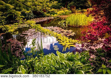 Gardens Of Painter Claude Monet In Giverny, France