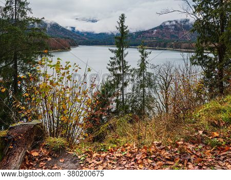 Alpine  Sylvenstein Stausee Lake On Isar River, Bavaria, Germany. Autumn Overcast, Foggy And Drizzle