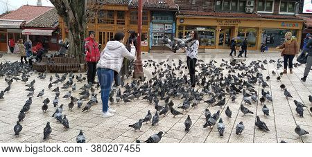 Sarajevo, Bosnia And Herzegovina, March 8, 2020, People Walk The Central Streets Of Sarajevo Feeding