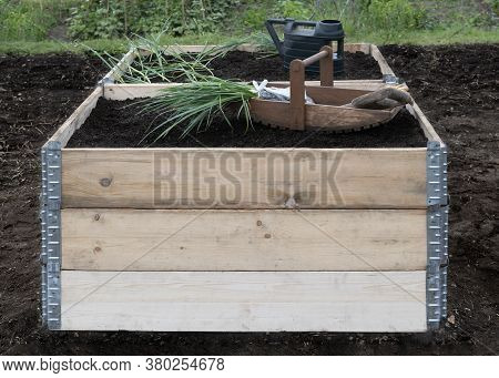 Pallet Collars Used As Raised Beds On A Small Holding Allotment  Showing Fresh Compost And Newly Pla