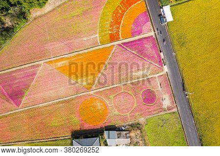 Daxi, Taiwan - November 14th, 2019: aerial view of garden in Daxi event of Taoyuan Flower Festival in Taoyuan, Taiwan, Asia