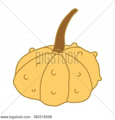 Warty Or Pimpled Yellow Gourd In Cartoon Flat Style With Lines. Hand Drawn Vector Illustration Isola