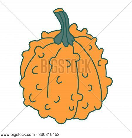 Warty Or Pimpled Orange Gourd In Cartoon Flat Style With Lines. Hand Drawn Vector Illustration Isola
