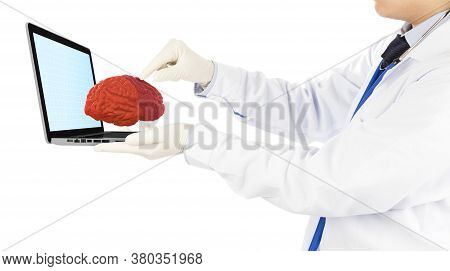 Doctor Check 3d Organ Brain In Computer