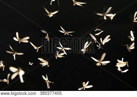 Low Key Image And Blur To Highlight The Lights In The Night Long And Flying Animation Play Light Aro
