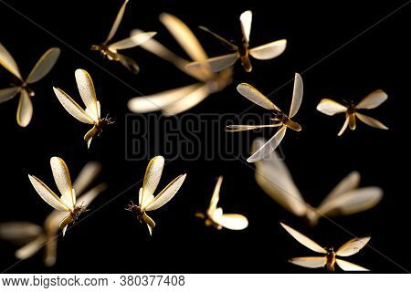 Low Key Image And Blur To Highlight The Lights In The Night Long And Flying Animation Play Light Aro
