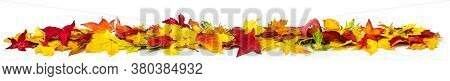 Colorful Autumn Leaves On The Ground As A Border, Extra Wide Panorama Format With Vibrant Colors, Is