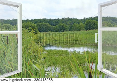 Room With Wide Window Overlooking Landscape With Lake Surrounded With Cane. View From Room Window To