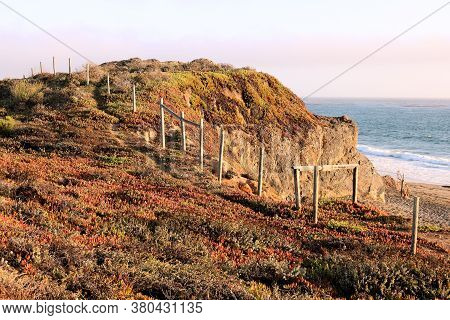 Rustic Wooden Fence On Past Ranchlands Surrounded By Succulent Ice Plants On A Coastal Bluff Overloo