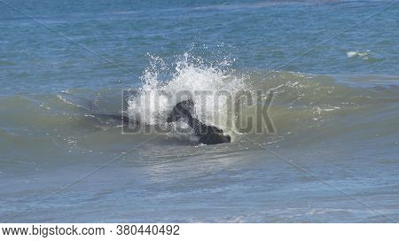 Waves Hitting One Rock Its A Beautiful Moment