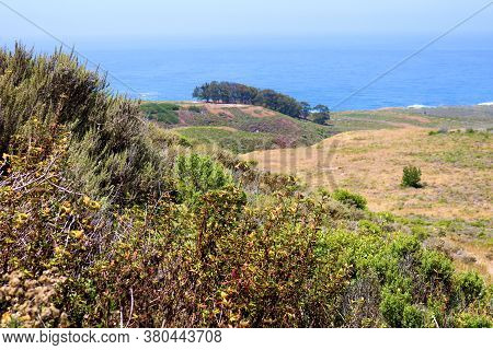 Lush Green Chaparral Plants On A Coastal Mountain Overlooking Rural Grasslands And The Pacific Ocean