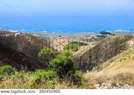 Lush Green Chaparral Plants On Grasslands At Valencia Peak Overlooking The Pacific Ocean And Califor