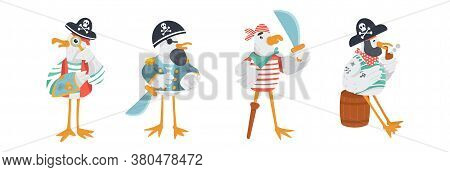 Set Of Funny Vector Pirate Characters. Seagulls In Sailor Costumes With Cocked Hats, Swords And Peg 