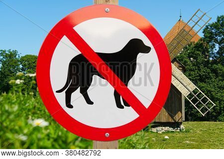 No Dog Sign In Walking Park Area. No Pets Allowed Sign To Publick Park.
