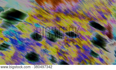 Defocused Background Of Grass And Flowers On Bright Sunny Day In Hard Sunlight. Abstract Nature Back