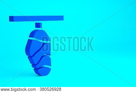 Blue Butterfly Cocoon Icon Isolated On Blue Background. Pupa Of The Butterfly. Minimalism Concept. 3