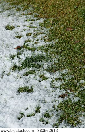Frost on the grass in a meadow. Sabinanigo. Huesca. Aragon. Spain.