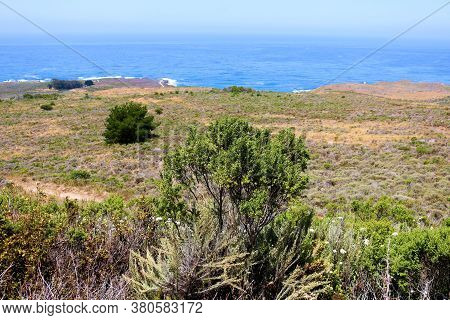 Coastal Shrubs On A Hillside Overlooking A Rural Prairie, The Central California Coast, And The Paci