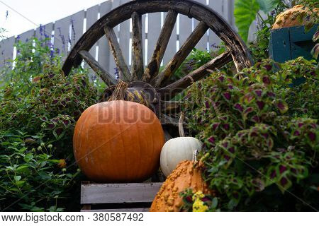 Pumpkin Sitting On Box With Olod Wagon Wheel In Back