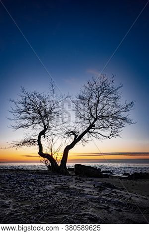 Amazingly Beautiful Winter Sea Coast At Sunset, Curved Coast Line With Forest In The Background, Bea