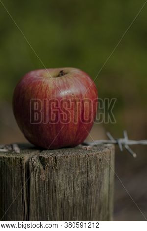 Red Shiny Apple Over A Pole Over Blurred Background