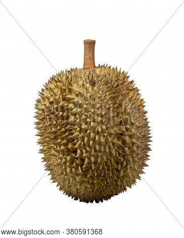 Durian Is The King Of Fruits And Has A Very Strong Smell.