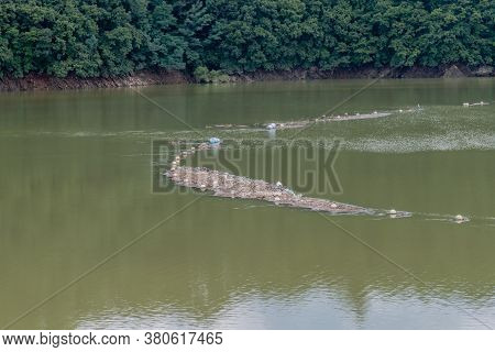 Island Of Trash And Debris In Reservoir Being Collected By Net