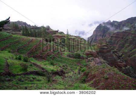 Home In The Mountain Range
