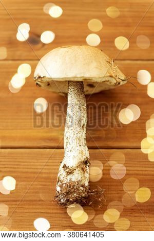 nature, environment and edible mushrooms concept - brown cap boletus on wooden background