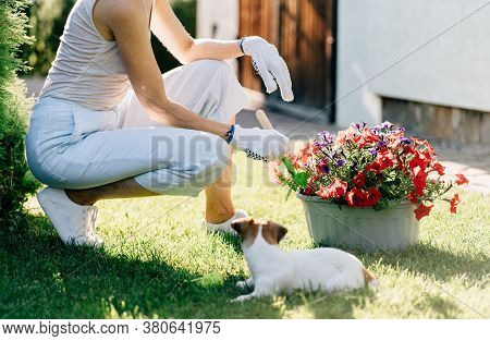 Blond Curly Happy Woman Gardener In White Gloves Sitting Near Plant Pot Holding Garden Spade With So