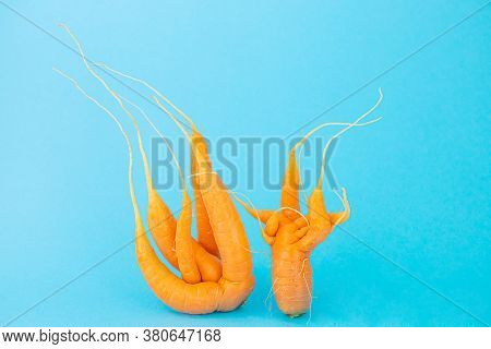 Strange Funny Shaped Carrots On A Blue Background. Vegetable Crops Concept. Minimalism, Copy Space. 