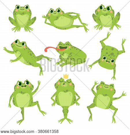Cute Frogs. Green Funny Frogs In Various Poses, Happy Animals Group. Smiling Active Toads, Zoo Carni