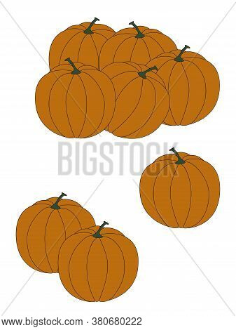 Vector Illustration Group Of Pumpkins. Education Card For Children. Holiday Design