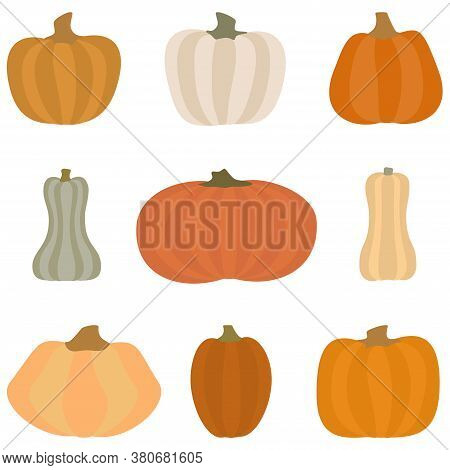 Pumpkin Set. Different Shapes And Sizes Gourd.  Vector Illustration. Isolated On White Background