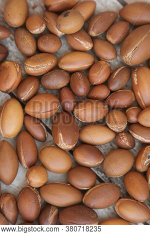 Argand Nuts On A Grey Background, Close Up