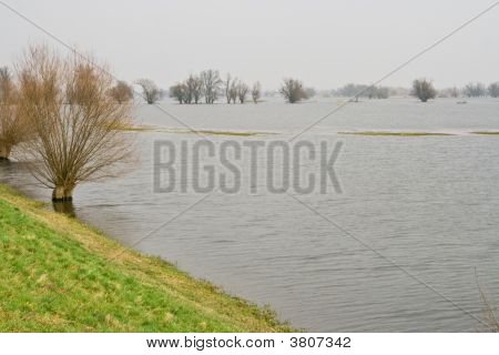 Flood