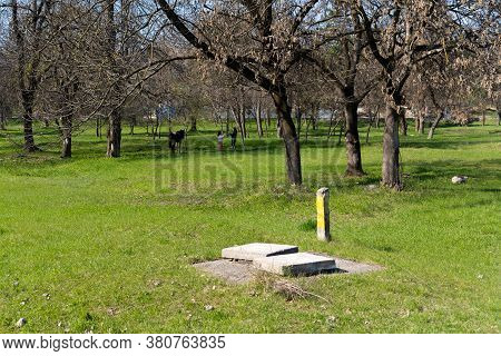 Covered Hatch In The Ground.covered Hatch In The Ground