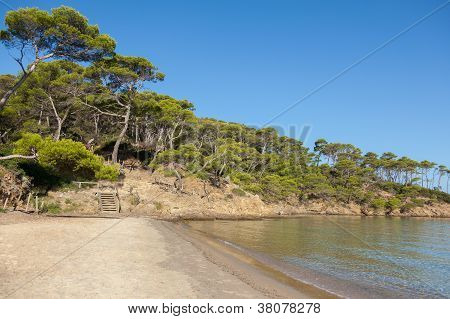 Notre Dame Beach Porquerolles-sziget, Franciaország